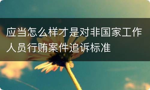 应当怎么样才是对非国家工作人员行贿案件追诉标准