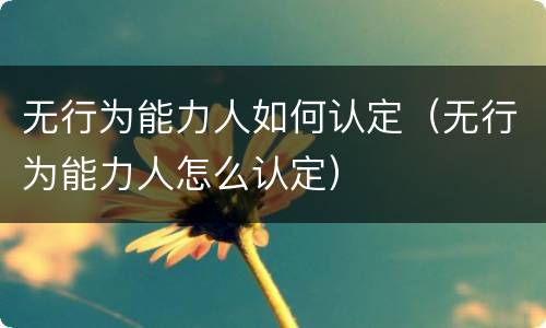 无行为能力人如何认定（无行为能力人怎么认定）