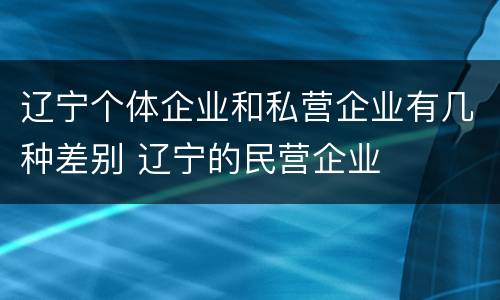 辽宁个体企业和私营企业有几种差别 辽宁的民营企业