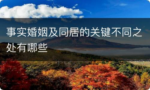 事实婚姻及同居的关键不同之处有哪些