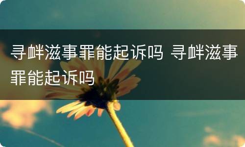 寻衅滋事罪能起诉吗 寻衅滋事罪能起诉吗