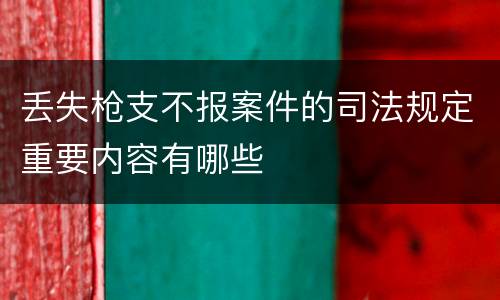 丢失枪支不报案件的司法规定重要内容有哪些