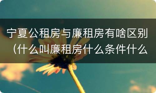 宁夏公租房与廉租房有啥区别（什么叫廉租房什么条件什么叫公租房）
