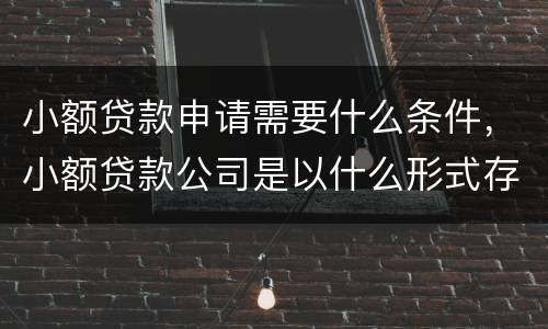 小额贷款申请需要什么条件，小额贷款公司是以什么形式存在的