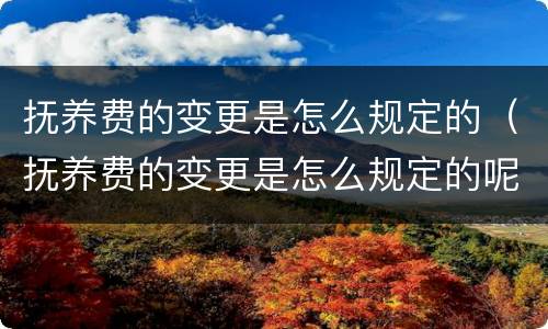 抚养费的变更是怎么规定的（抚养费的变更是怎么规定的呢）