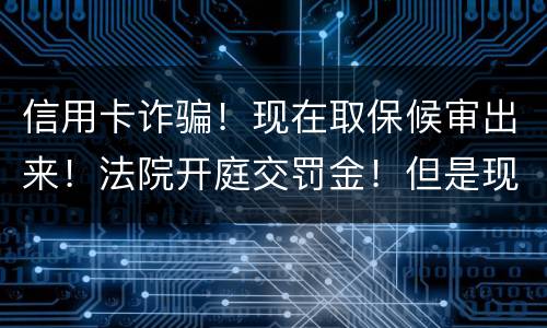 信用卡诈骗！现在取保候审出来！法院开庭交罚金！但是现在没钱交！法院会让收监吗