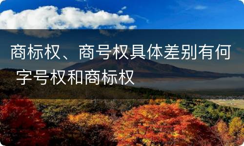 商标权、商号权具体差别有何 字号权和商标权