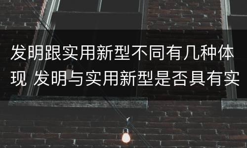 发明跟实用新型不同有几种体现 发明与实用新型是否具有实用性