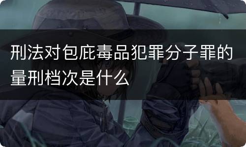 刑法对包庇毒品犯罪分子罪的量刑档次是什么