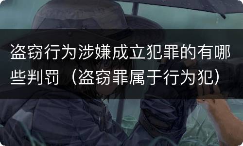 盗窃行为涉嫌成立犯罪的有哪些判罚（盗窃罪属于行为犯）
