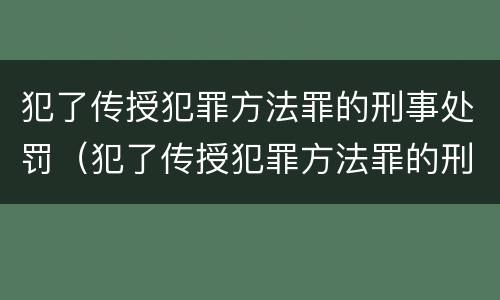 犯了传授犯罪方法罪的刑事处罚（犯了传授犯罪方法罪的刑事处罚决定书）