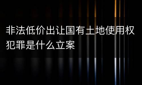 非法低价出让国有土地使用权犯罪是什么立案