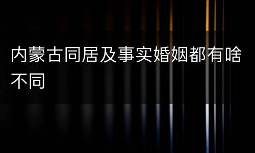 内蒙古同居及事实婚姻都有啥不同