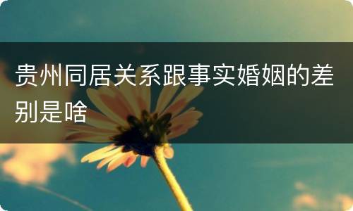 贵州同居关系跟事实婚姻的差别是啥