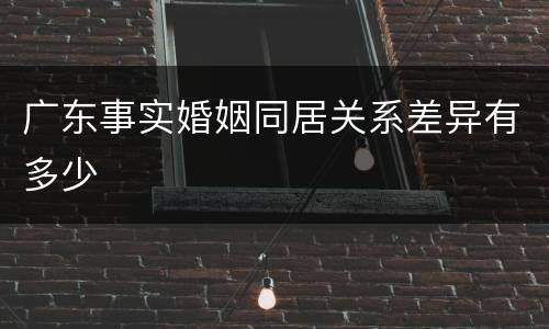 广东事实婚姻同居关系差异有多少