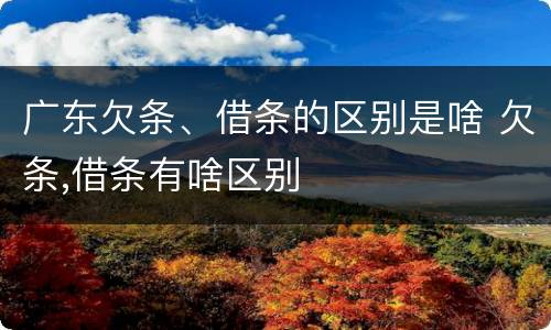 广东欠条、借条的区别是啥 欠条,借条有啥区别