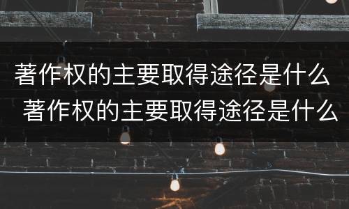 著作权的主要取得途径是什么 著作权的主要取得途径是什么