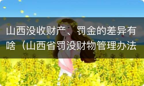 山西没收财产、罚金的差异有啥（山西省罚没财物管理办法）