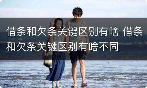 借条和欠条关键区别有啥 借条和欠条关键区别有啥不同