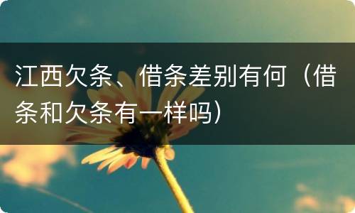 江西欠条、借条差别有何（借条和欠条有一样吗）