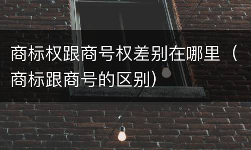 商标权跟商号权差别在哪里（商标跟商号的区别）