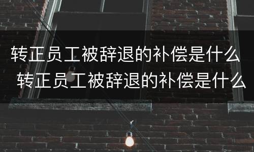 转正员工被辞退的补偿是什么 转正员工被辞退的补偿是什么意思