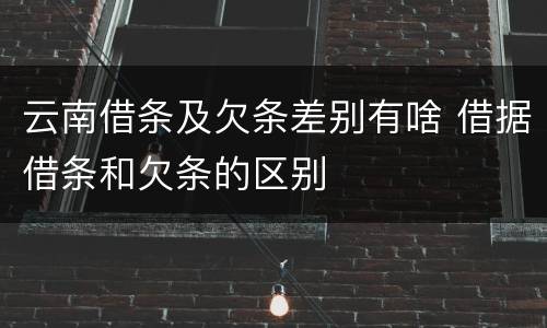 云南借条及欠条差别有啥 借据借条和欠条的区别