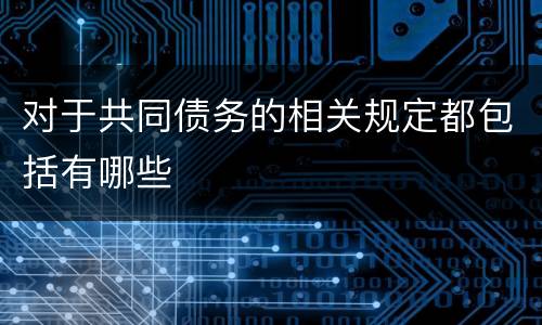 对于共同债务的相关规定都包括有哪些