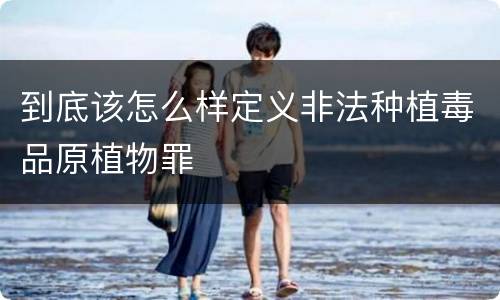 到底该怎么样定义非法种植毒品原植物罪