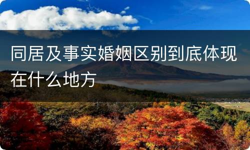 同居及事实婚姻区别到底体现在什么地方