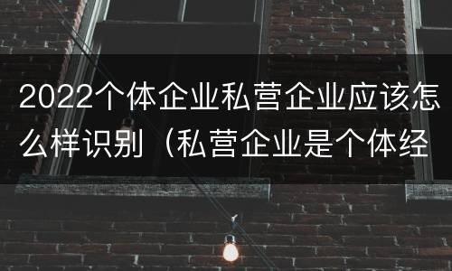 2022个体企业私营企业应该怎么样识别（私营企业是个体经营吗）