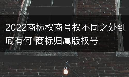 2022商标权商号权不同之处到底有何 商标归属版权号