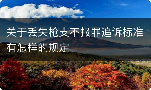 关于丢失枪支不报罪追诉标准有怎样的规定