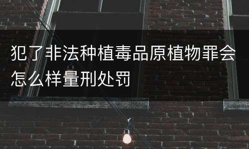 犯了非法种植毒品原植物罪会怎么样量刑处罚