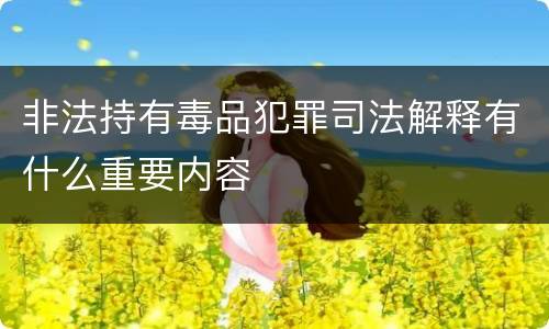 非法持有毒品犯罪司法解释有什么重要内容