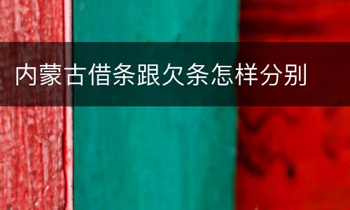 内蒙古借条跟欠条怎样分别