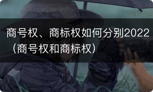 商号权、商标权如何分别2022（商号权和商标权）
