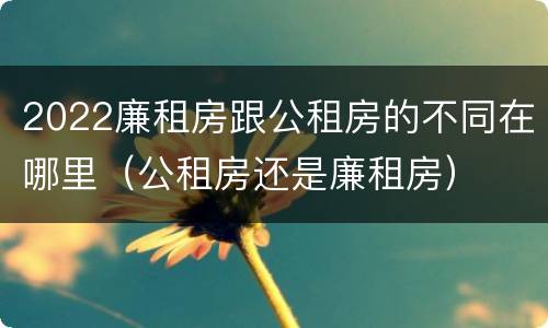 2022廉租房跟公租房的不同在哪里（公租房还是廉租房）