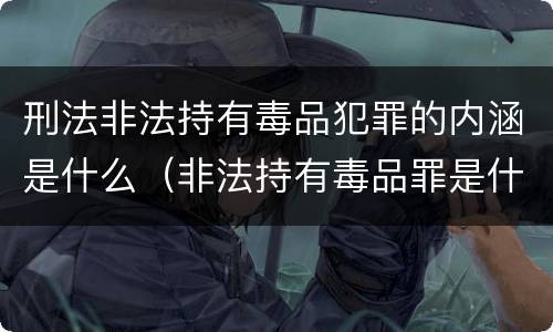刑法非法持有毒品犯罪的内涵是什么（非法持有毒品罪是什么犯罪类型）