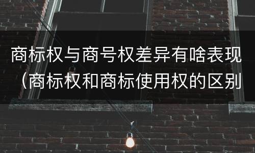 商标权与商号权差异有啥表现（商标权和商标使用权的区别）