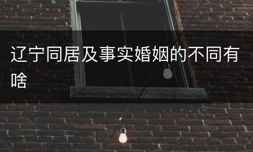 辽宁同居及事实婚姻的不同有啥