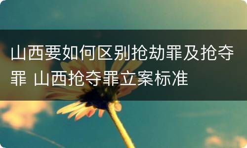 山西要如何区别抢劫罪及抢夺罪 山西抢夺罪立案标准