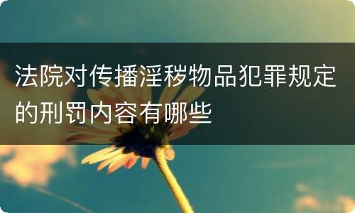 法院对传播淫秽物品犯罪规定的刑罚内容有哪些