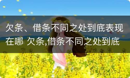 欠条、借条不同之处到底表现在哪 欠条,借条不同之处到底表现在哪些方面