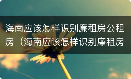 海南应该怎样识别廉租房公租房（海南应该怎样识别廉租房公租房呢）