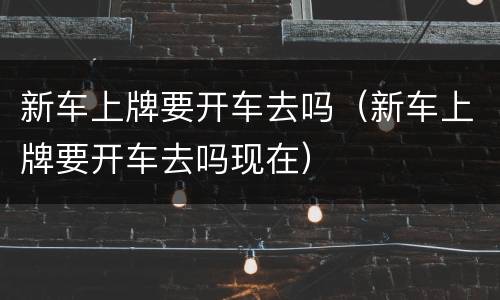 新车上牌要开车去吗（新车上牌要开车去吗现在）