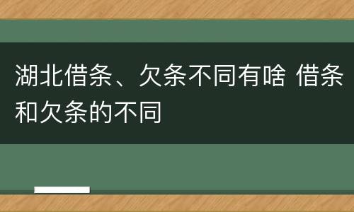 湖北借条、欠条不同有啥 借条和欠条的不同