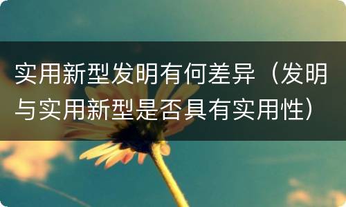 实用新型发明有何差异（发明与实用新型是否具有实用性）