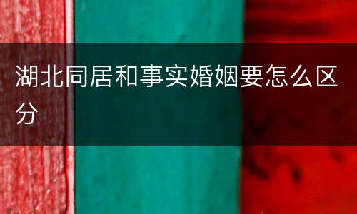 湖北同居和事实婚姻要怎么区分
