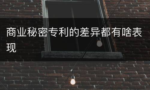 商业秘密专利的差异都有啥表现
